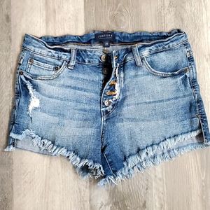 Jean Shorts 29